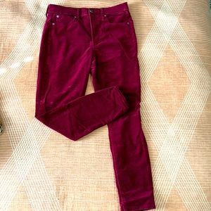 GAP True Skinny Maroon Pants 8R/29